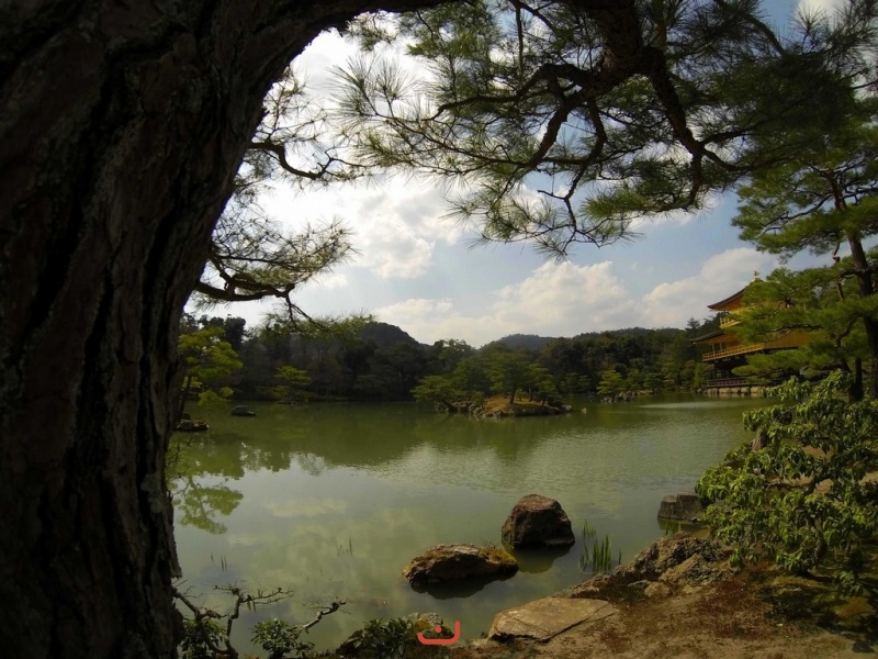 金閣寺に池 - Озеро у Золотого храма