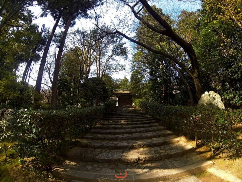 龍安寺に階段 - Лестница в храм Рёан